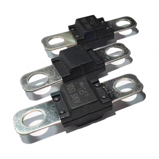Auto fuse and Holder